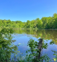 Photo by Iris Gonzalez Carpio, Mount Holyoke College Athletics &ldquo;Shore of Upper Lake&rdquo;